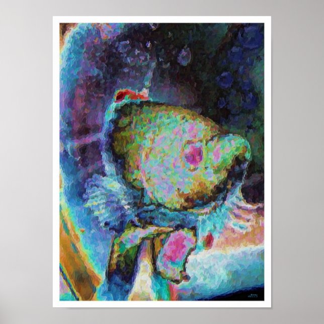 Poster Peixe beta 1 (Frente)