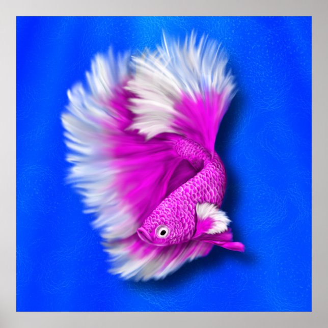 Poster Peixe-Betta Rosa Branco e Quente (Frente)