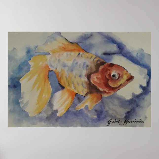 POSTER PEIXE DE OURO DE ÁGUA (Frente)