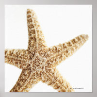 Peixe-estrela