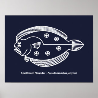 Poster Peixe-Flounder Divertido de Branco sobre o Azul Ma