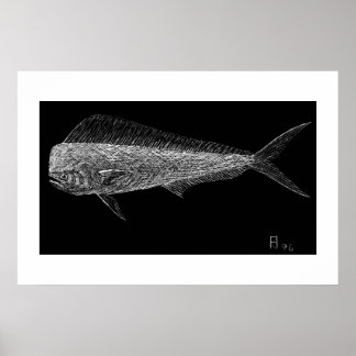 Poster Peixe-golfinho