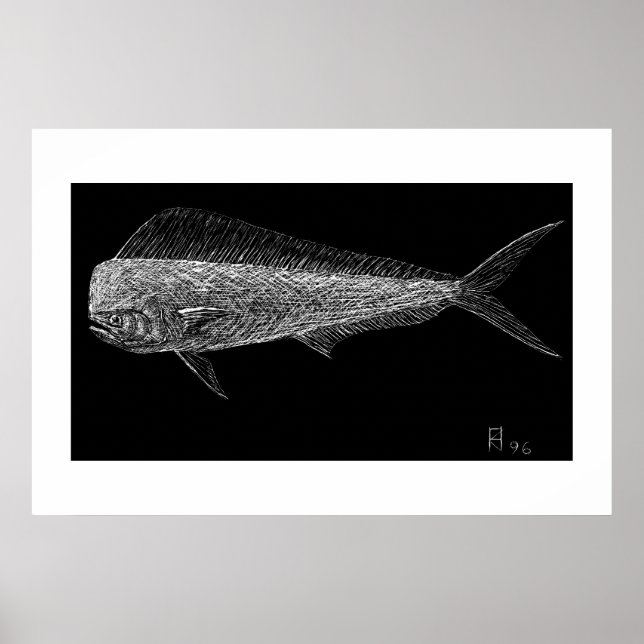 Poster Peixe-golfinho (Frente)