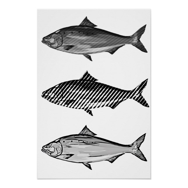 Pôster Peixe gráfico preto e branco (Frente)