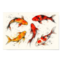 Peixe Koi
