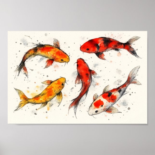 Poster Peixe Koi (Frente)