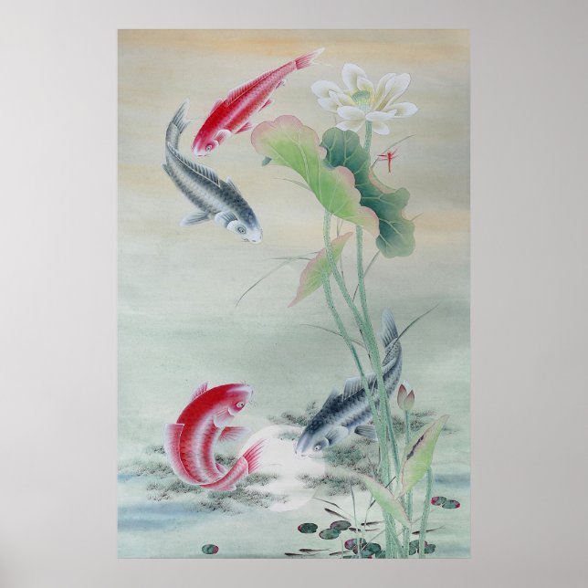 Poster Peixe Koi com Lotus (Frente)