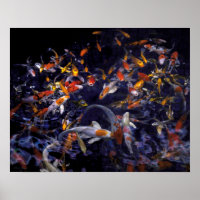 PEIXE KOI SOBRE O FLUXO