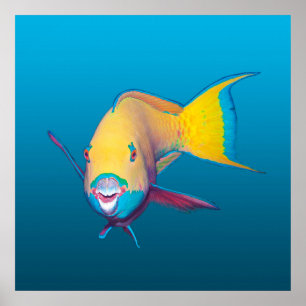Poster Peixe-papagaio Close-up! Fundo azul gradiente