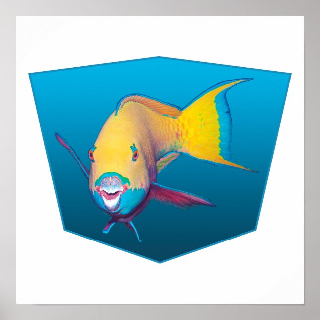Poster Peixe papagaio - gradiente de design de fundo azul (Frente)