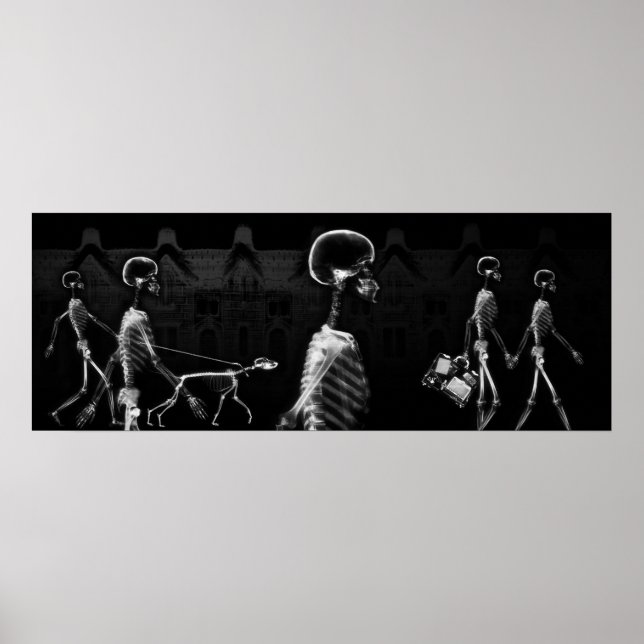 Poster Peixe Tanque BKRD X-Ray Skeletons Meia-Noite Strol (Frente)