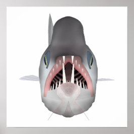 Poster Peixe-Vampiro - Cabeça de Peixe