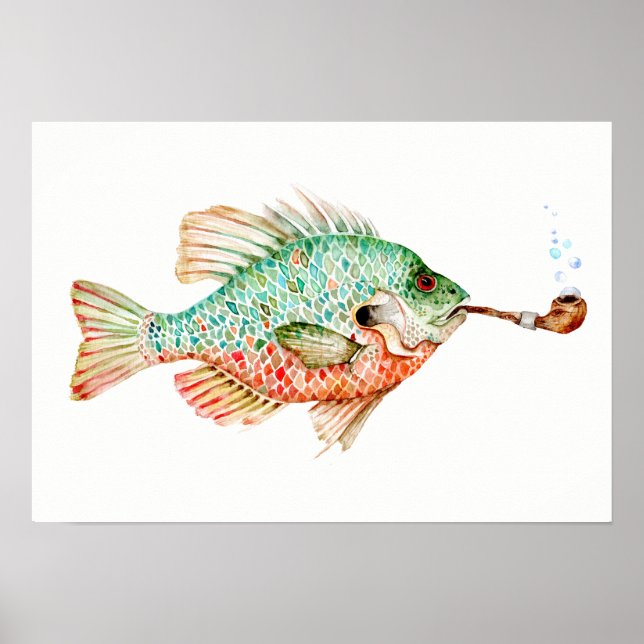 Poster Peixes com tubagem (Frente)