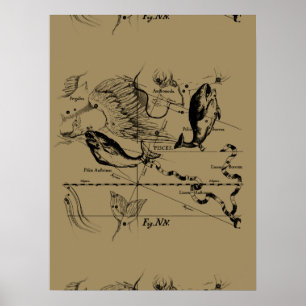 Poster Peixes Constellation Hevelius 1690 em Taupe