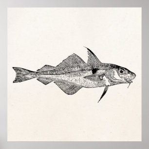 Pôster Peixes de arinca-safra - Peixes aquáticos Modelo