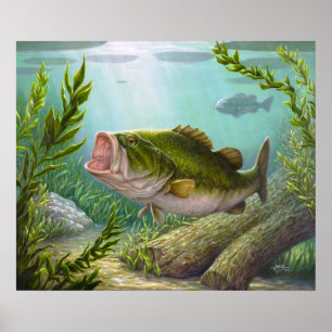 Poster Peixes de Bass