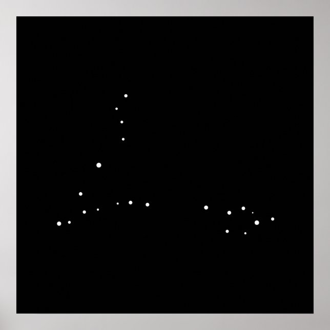 Pôster Peixes de constelação de Peppers Leslie (Frente)