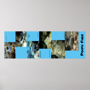 Pôster Peixes de Poipu