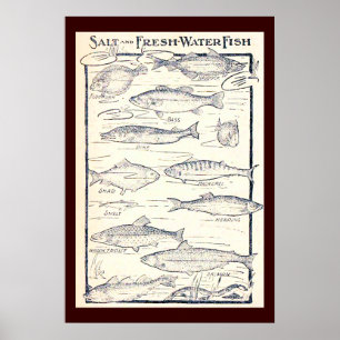 Poster Peixes de sal e de água fresca