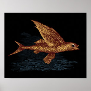 Poster Peixes de vôo