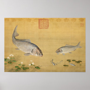 Poster Peixes e Plantas Aquáticas por Giuseppe Castiglion