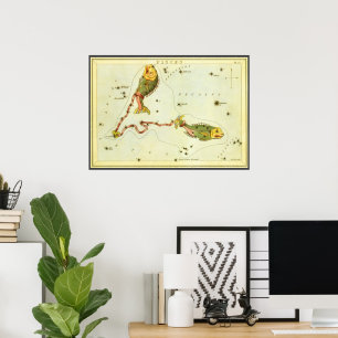 Poster Peixes, Espelho de Urânia da Constelação Vintage