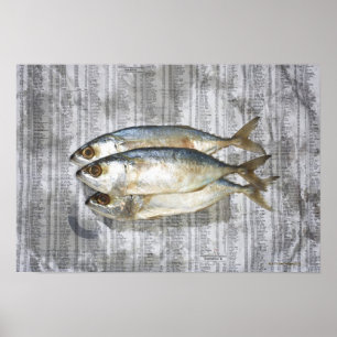Poster Peixes no jornal financeiro, vista elevado