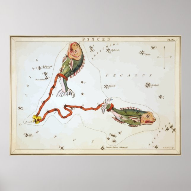Poster Peixes - Piscis - Horoscópio - Astrologia - Estrel (Frente)