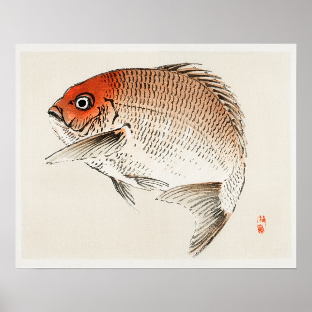 Poster Peixes Tai (Seabream Vermelho) de Kōno Bairei (184 (Frente)