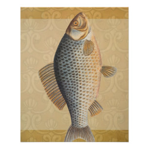 Pôster Peixes+trabalho de arte+design+pesca+pesca+pesca