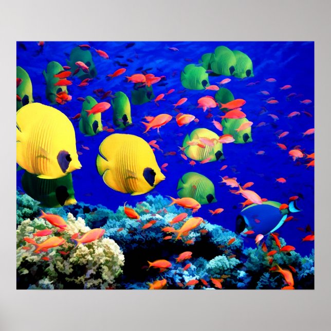 Poster Peixes Tropicais no Mar de Coral (Frente)