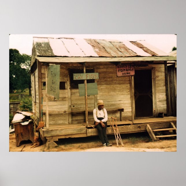 Pôster Peixes Vivos Para Venda (Frente)