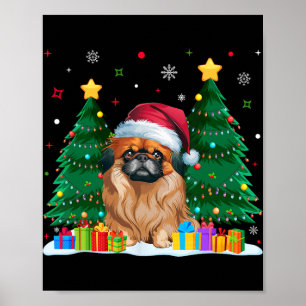 Poster Pekingese Dog Passa Santa Hat Feita No Natal Sueco