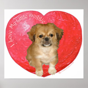Pôster Pekingese / Shih Tzu Dia dos Namorados