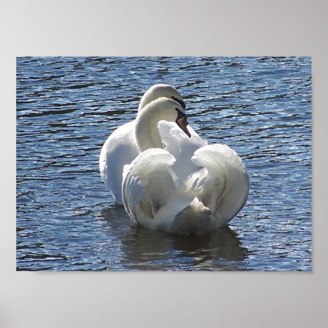 Poster "Pela Vida" (Frente)