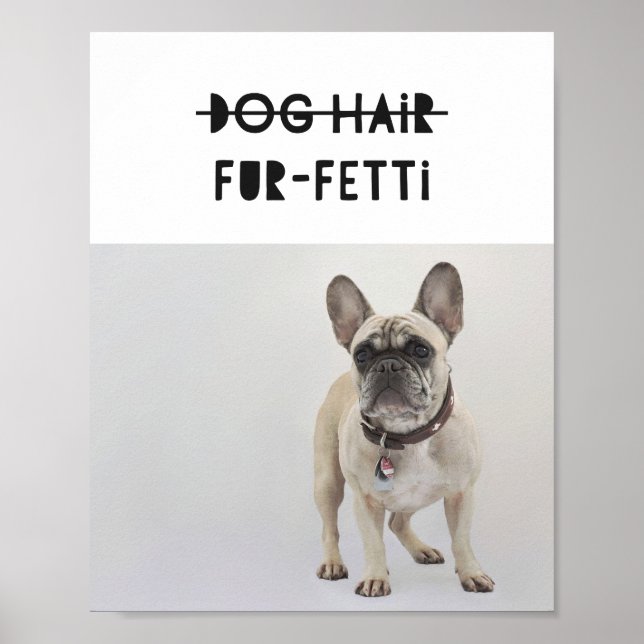 Poster Pele De Cão Pele-Fetti Foto Personalizada Frenchie (Frente)