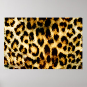 Poster Pele do leopardo