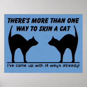 Poster Pelejar um Gato Cartaz Divertido Sinal Humor