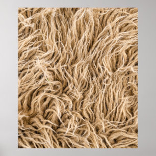 Poster Peles de animais