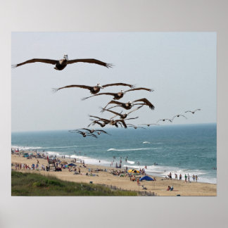 Poster Pelican Bird Gang voando sobre a praia OBX