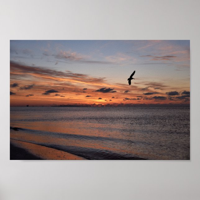 Poster Pelican Flying at Sunrise, Dauphin Island, Alabama (Frente)