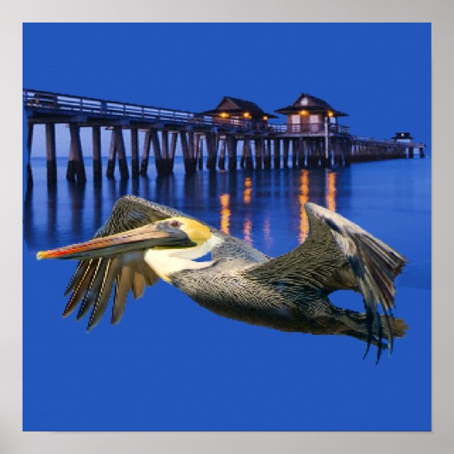 Poster Pelican Pier (Frente)
