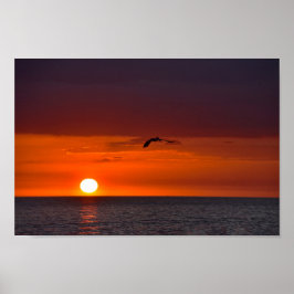 Poster Pelican voando ao pôr do sol