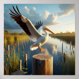 Poster Pelicano-branco-americano gracioso em pântanos ser