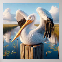 Pelicano Branco Americano Gracioso em Serene Wetla