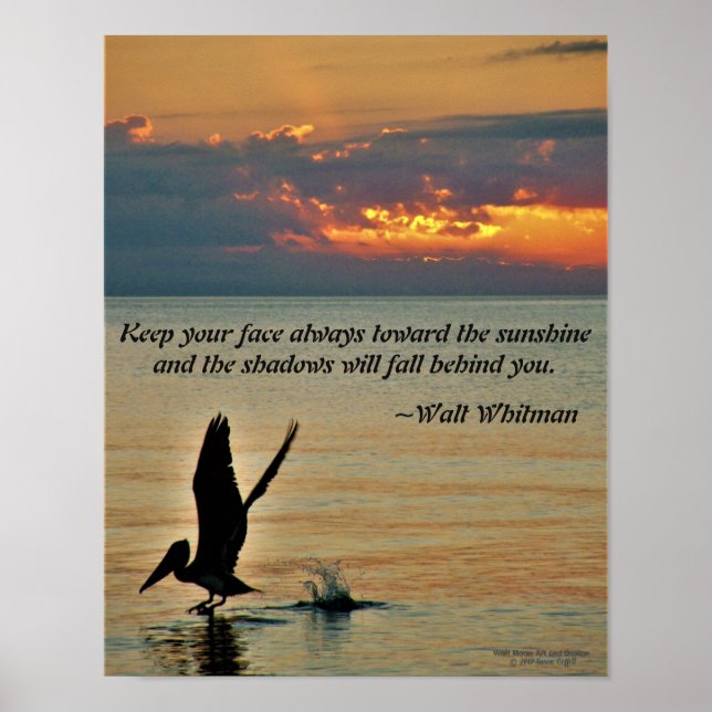 Poster Pelicano decola no pôr do sol na costa do Golfo da (Frente)