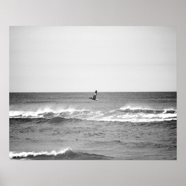 Poster Pelicano preto e branco voando sobre o oceano 16x2 (Frente)