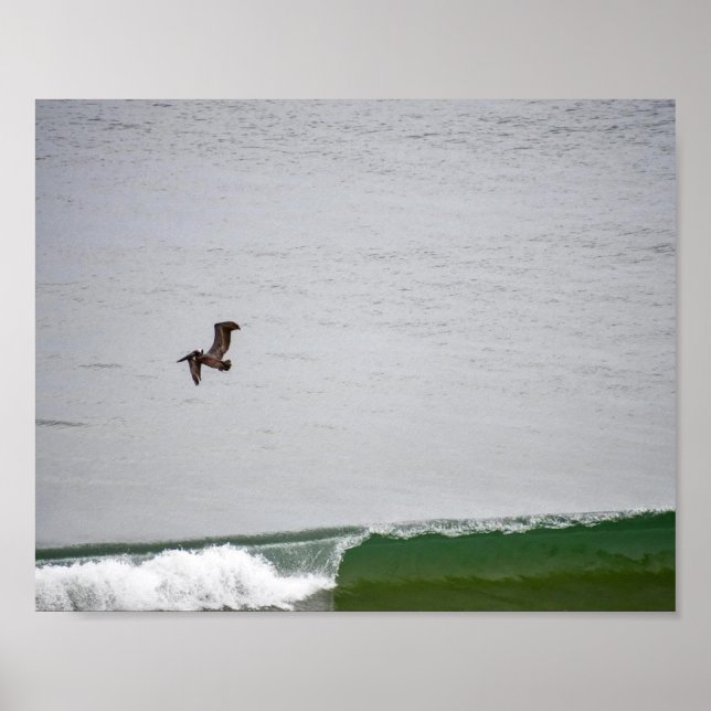 Poster Pelicano Sobre a Onda (Frente)