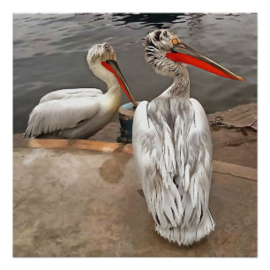 Pôster Pelicanos - A Cinza Gira o Retrato Artístico
