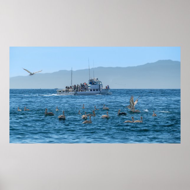 Poster Pelicanos Basking & Boat - Marina Del Rey, CA (Frente)